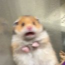 수원-0347 이미지