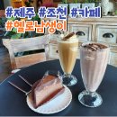 헬로남생이 | 제주 조천 닭머르 해안 카페 '헬로 남생이'
