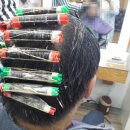 컷트랑파마랑 이미지