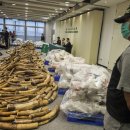 상아무역 이미지