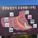 광산마을 | 부산 기장 올해까지만 볼 수 있는 핑크뮬리명소 광산마을 실시간 및 방문후기