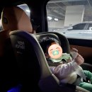 프로p.t | 베이비하우스 송도점에서 내돈내산으로 구매한 브라이텍스 듀얼픽스 프로 신생아 카시트 후기