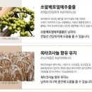 도도맨즈 이미지