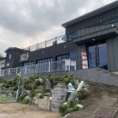 퍼피앤독 이미지