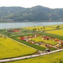 낙동강변14 이미지