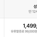 솔로몬여행사 이미지
