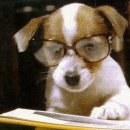 컴퓨터활용능력 이미지