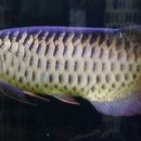 황제유통 이미지