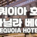 레베카여행사