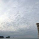 만리포주유소 이미지