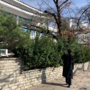 온정커피숍