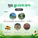 봄나드리투어(운문) 네이버블로그