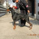 아폴로 스테이 이미지