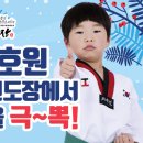 호원 태권도장 이미지