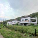 그린바이오(구. 그린농원) | 위치타 블루 향나무 마당 생울타리로 심어주기