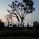 부산시민공원 이미지