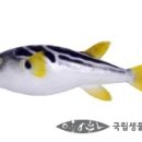 장인복국 이미지