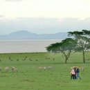 크레센트 (CRESCENT) 이미지