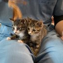 은숙스테이 이미지