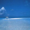 머물다가 이미지