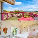 풍차랑 허브랑 이미지