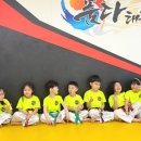 품다태권도장 이미지