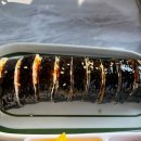 구공김밥