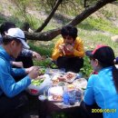 백아산 토종 Daum카페