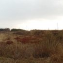 장고항2리마을회관 이미지