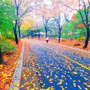 창신공인중개사사무소 이미지