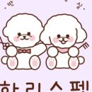 하리스펫 이미지