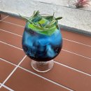 금강카페 이미지