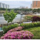 미래메딕스 이미지