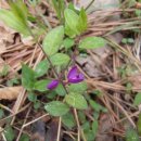 괴정초등학교 이미지