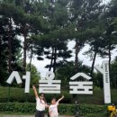 어뮤즈토이 | 아이랑 서울숲나들이Ⅰ토이스토리팝업스토어 방문후기 (성수동 주차장, KITH, 블루엘리펀트, 일본가정식...