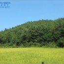 현북면사무소 이미지