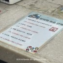솔약국 | [공지] 서울약국성지 남대문왕솔약국 온누리사용 상비약구매리스트 비맥스가격비교