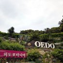 거제도 여행 추천 아이와 함께 유람선 타고 외도 보타니아 솔직 후기 예약 꿀팁