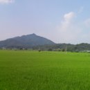 상주명품