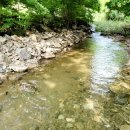 휴양림하우스 이미지