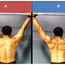 백석PT 모티플짐 이미지