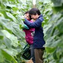 오이씨농장1 이미지