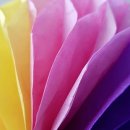 색채심리상담사2급 이미지