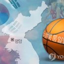 남북통일 네이버블로그