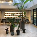 글레즈하임 호텔 | 제주 글래즈하임호텔 오션뷰 호텔 최저가예약 수영장있는 호텔 추천