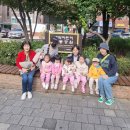 새싹교통어린이공원 이미지