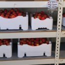 들말농장 이미지