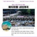 지리산예치마을당근펜션 | 경남 산청 예치마을 지리산 내대계곡 추천 당일 평상 대여
