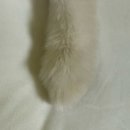 동대마트 이미지