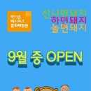 진안마이돈 이미지